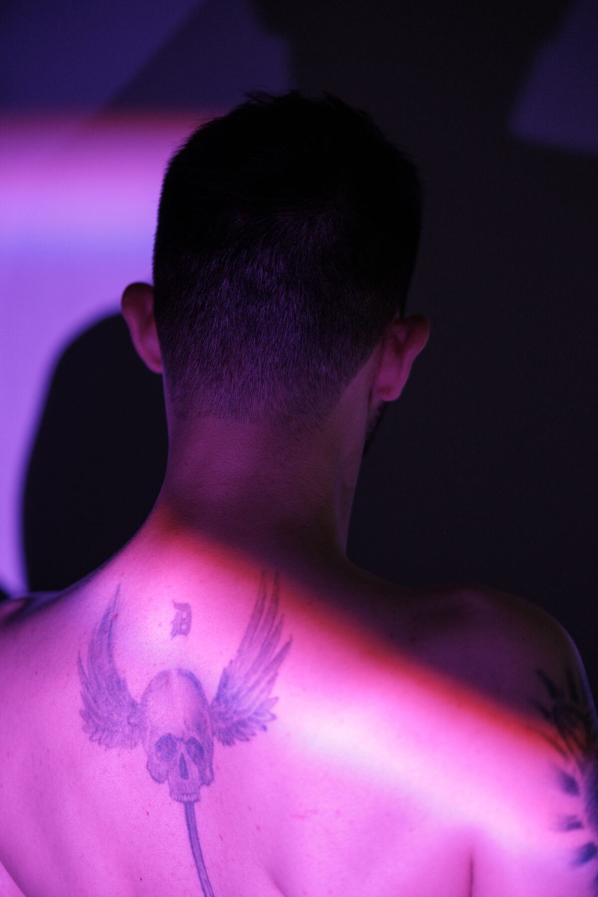 Dos d'homme tatoué sous lumière rose — nu masculin artistique