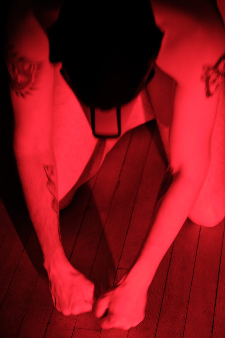 Pup_Kiess au sol