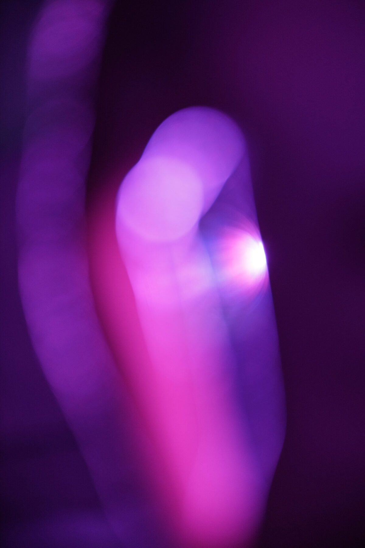 Gros plan abstrait, éclairage violet et rose, jeu de lumière flou