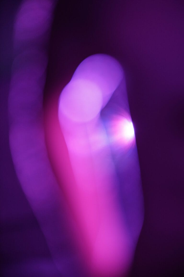 DSCF0614