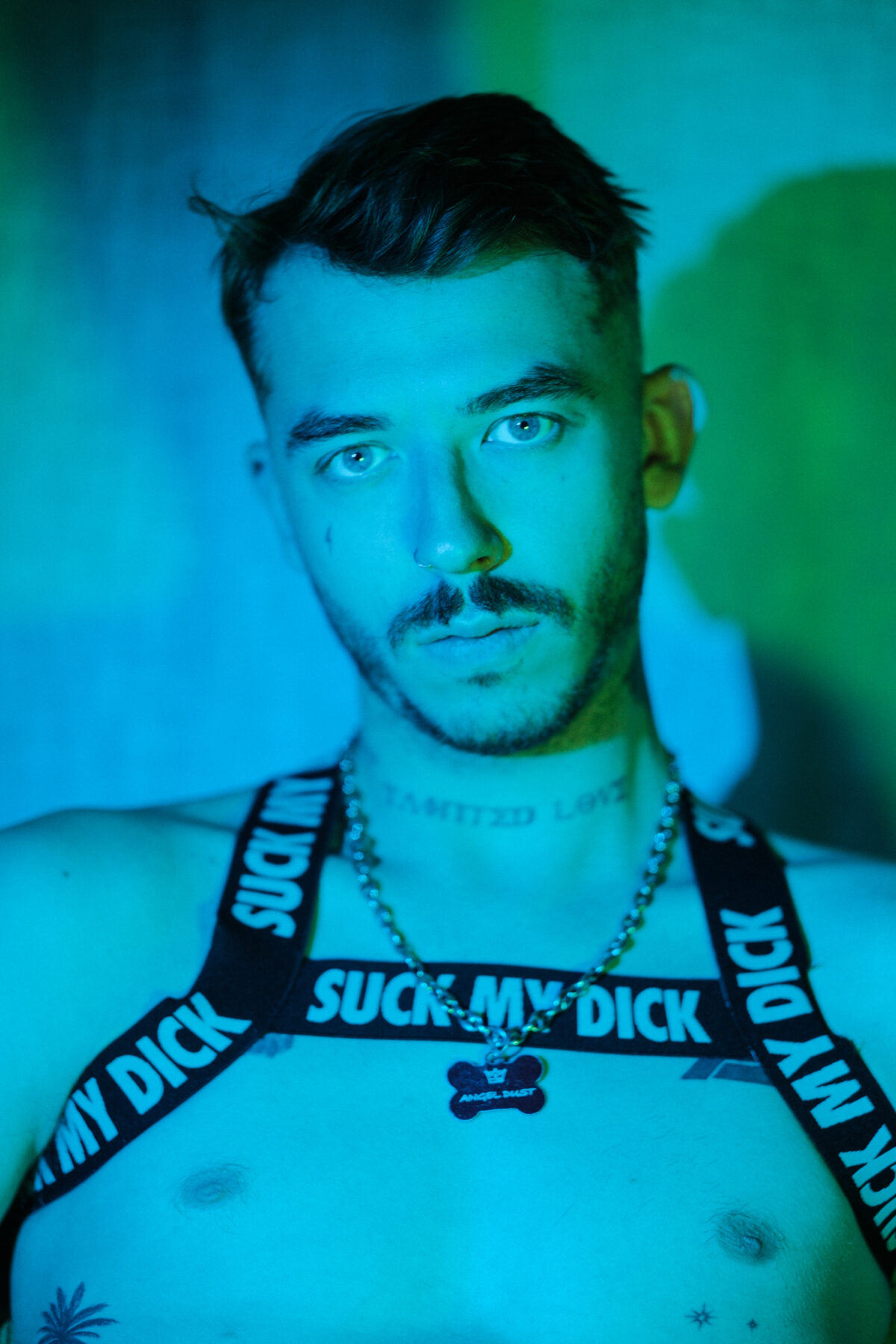 Portrait bleu et vert d'Angel Dust, harnais "Suck my dick" à médaille "Angel Dust", regard caméra, piercing au nez.