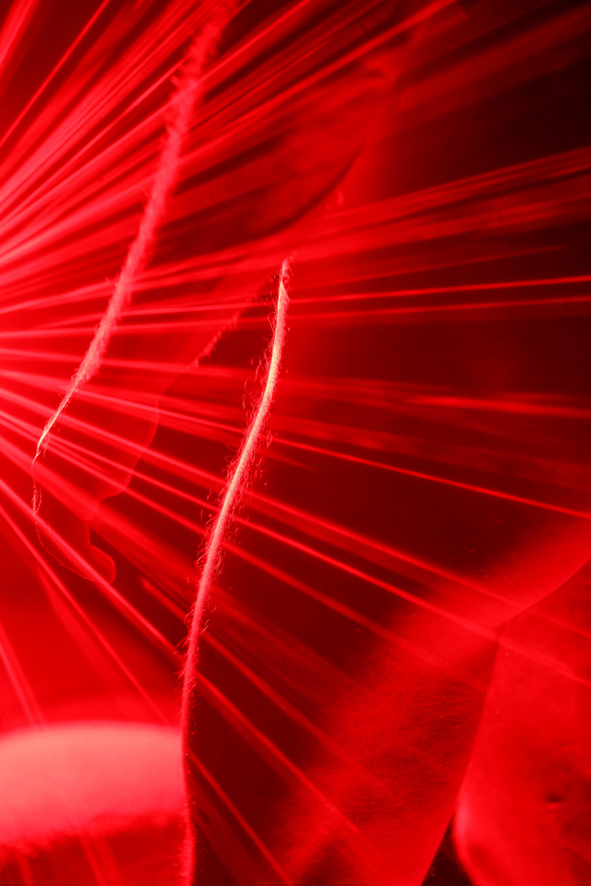 Photographie abstraite de faisceaux de lumière rouge traversant une silhouette, effet de light painting