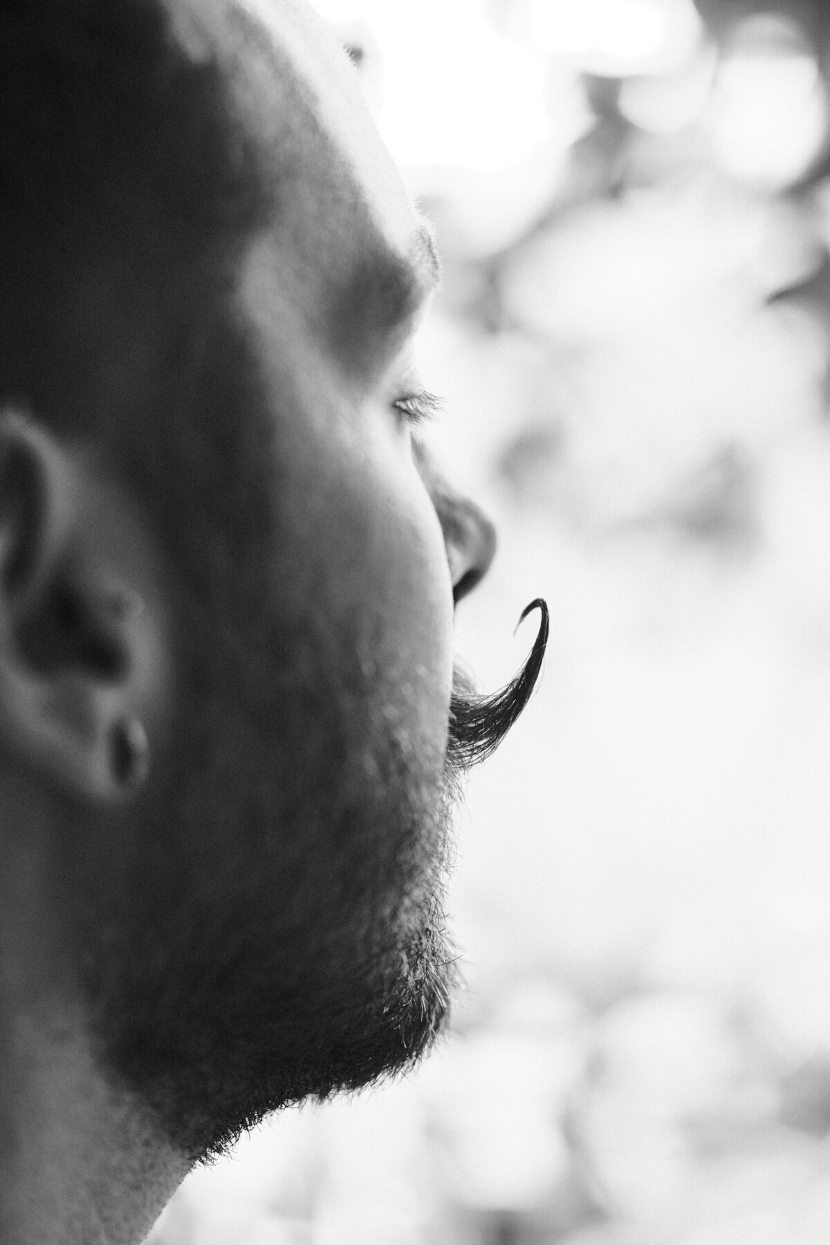 Gros plan noir et blanc du profil de François, moustache recourbée, feuillage de lierre flou en arrière-plan
